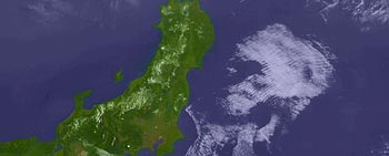 8摜