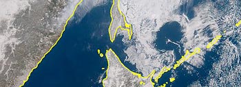 11摜