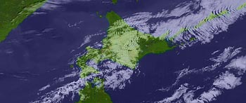 11�����摜