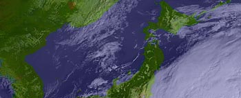 9�����摜