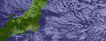 9�����摜