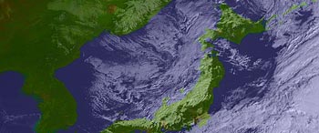 9�����摜