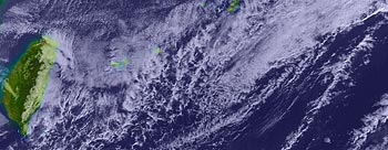 11�����摜