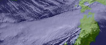 10�����摜