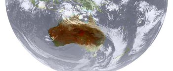 11���S���摜