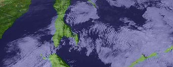 11�����摜