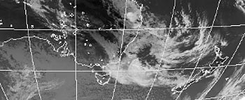 8���S���摜