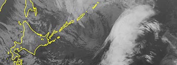 5�����摜