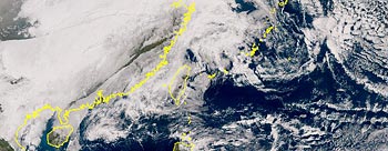 11�����摜