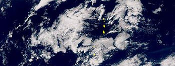 12�����摜