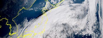 8�����摜