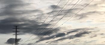 g_