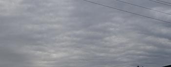 g_