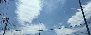݂邵_