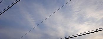 g_