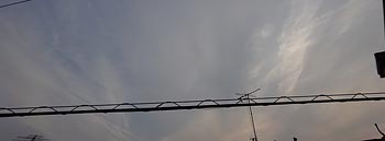 щ_Es@_