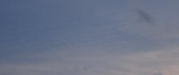g_