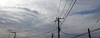 g_