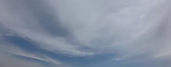 _