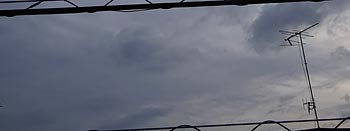 g_
