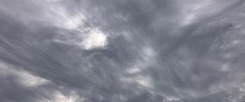 ��w�̃r�[����_