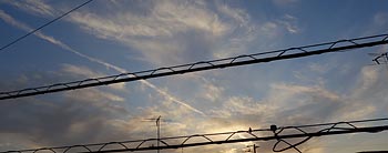 �����n�̉_