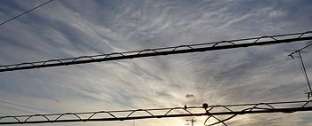 ���J�f��_