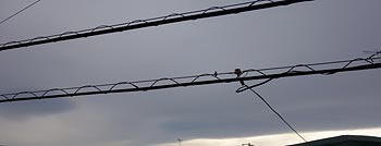 �݂��_�Ȃ�