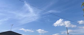 ���^���_�Ȃ�