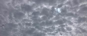 �؉_